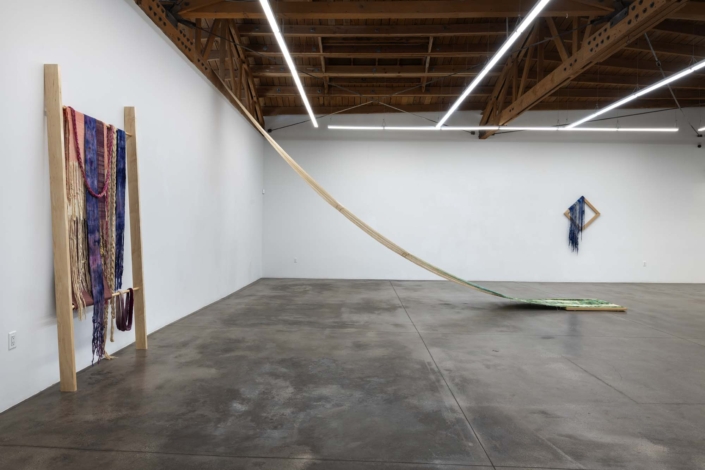 Installation view, Frances Trombly: What Holds at Shoshana Wayne Gallery, LA