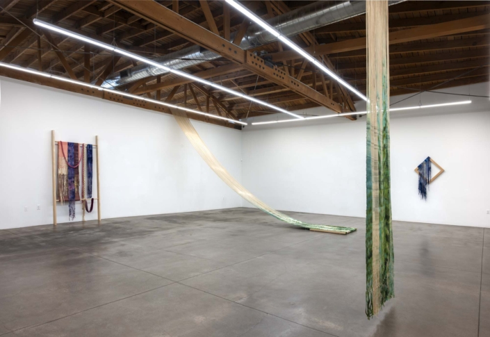Installation view, Frances Trombly: What Holds at Shoshana Wayne Gallery, LA