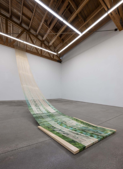 Installation view, Frances Trombly: What Holds at Shoshana Wayne Gallery, LA